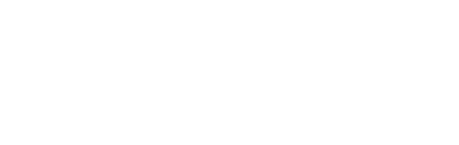 Vloggi